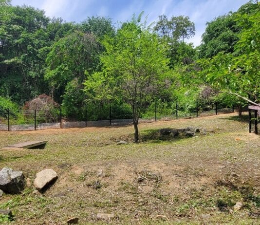 청주시, 오창읍 중앙근린공원 내 애견인 쉼터 개장